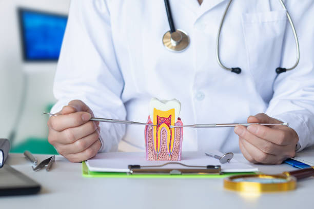 Best Emergency Root Canal Treatment in Broxton, GA